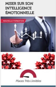 Miser sur son intelligence émotionnelle